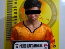 Tim Elang Kuantan Polres Kuansing Ungkap Peredaran Ganja Kering 17,18 Gram di Singingi, Pelaku Terancam Hukuman Berat
