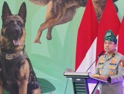 Satwa Reno K9 Polda Riau Terima Medali Penghargaan Kapolri