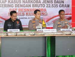 Polres Kuansing Bongkar Peredaran Ganja 22,5 Kg, Kapolres Tegaskan Perang Total Narkoba