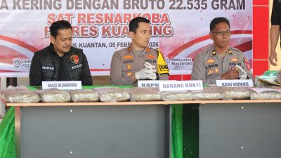 Polres Kuansing Bongkar Peredaran Ganja 22,5 Kg, Kapolres Tegaskan Perang Total Narkoba
