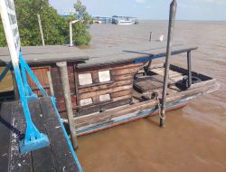 Satpolairud Polres Siak Ungkap Kasus Ilegal Logging di Perairan Mengkapan, Seorang Pelaku Diamankan