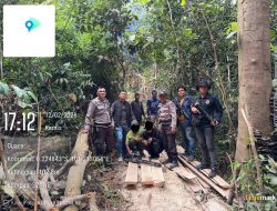 Polsek Singingi Hilir Ungkap Illegal Logging di Suaka Margasatwa Rimbang Baling