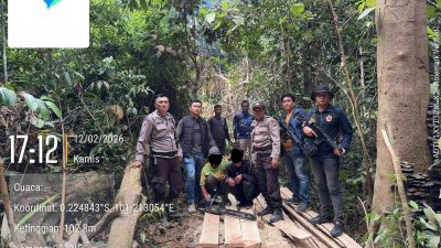 Polsek Singingi Hilir Ungkap Illegal Logging di Suaka Margasatwa Rimbang Baling