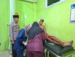 Lagi Istirahat di Atas Pompong, Warga di Kuala Kampar Diserang Harimau Sumatera