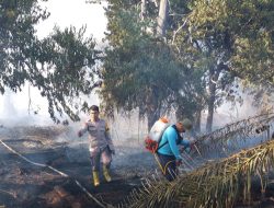 Gerak Cepat Polsek Bungaraya Padamkan Titik Api di Kampung Benayah, Karhutla Berhasil Dikendalikan