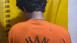 Curi Sawit di Kebun PT Agrinas, Warga Desa Pulau Panjang Hulu Diamankan Polsek Kuantan Hilir