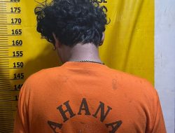 Curi Sawit di Kebun PT Agrinas, Warga Desa Pulau Panjang Hulu Diamankan Polsek Kuantan Hilir