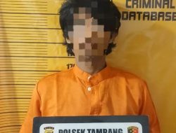 Polsek Tambang Tangkap Pelaku Pencurian Berondolan Sawit, 3 DPO