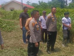 Kawanan Gajah Masuki Perumahan Karyawan di Minas, Kapolres Siak: Prioritaskan Keselamatan Warga dan Mitigasi Konflik Satwa