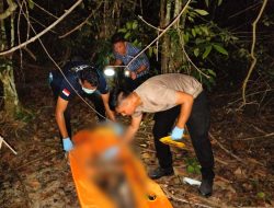 Kerangka Manusia Ditemukan di Lahan Warga Minas, Polisi Lakukan Penyelidikan Intensif
