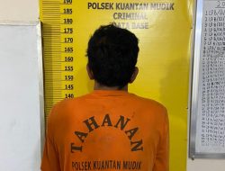 Polsek Kuantan Mudik Berhasil Ungkap Kasus Pencurian Sawit, 1 Pelaku Diamankan