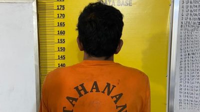 Polsek Kuantan Mudik Berhasil Ungkap Kasus Pencurian Sawit, 1 Pelaku Diamankan