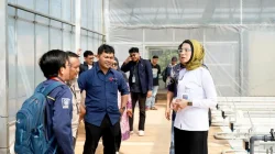 Teknologi Smart Greenhouse BRIN Dorong Ketahanan Pangan Untuk Sukseskan Program MBG