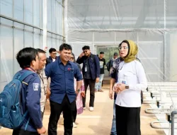 Teknologi Smart Greenhouse BRIN Dorong Ketahanan Pangan Untuk Sukseskan Program MBG