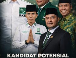 Peta Persaingan Ketua PKB Kampar, 8 Kandidat Masuk UKK DPP dan 5 Nama Terpetakan Kuat