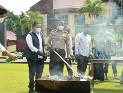 Berantas Narkoba, Wakapolres Kuansing Pimpin Pemusnahan 17,7 Kg Ganja