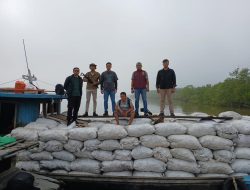 Riau Bongkar Perusakan Mangrove di Meranti, 3 Tersangka dan 100 Ton Arang Disita
