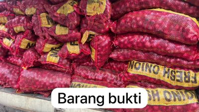 Polsek Teluk Meranti Bersama Satreskrim Polres Pelalawan Gagalkan Penyelundupan 887 Karung Bawang Ilegal di Teluk Meranti