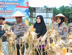 Dukung Swasembada Pangan Nasional, Polres Siak Gelar Panen Raya Jagung Serentak Kuartal II