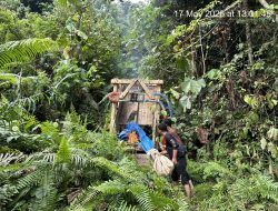 Polres Kuansing Cek Dugaan Aktivitas PETI di Bukit Betabuh, Satu Box Penyaring Emas Dimusnahkan
