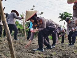 Dukung Program Ketahanan Pangan, Polsek Senapelan Laksanakan Penanaman Jagung Pipil 