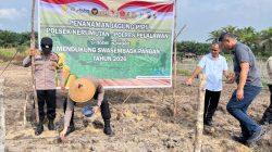 Tanam Jagung di Lahan Ketahanan Pangan Banjar Panjang, Polsek Kerumutan Dampingi Petani Wujudkan Swasembada Pangan