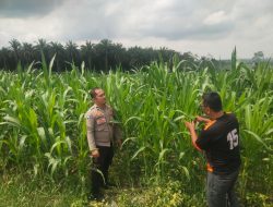 Polsek Bandar Sei Kijang Dukung Program Asta Cita Ketahanan Pangan