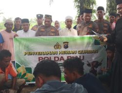 Wakapolres Rohil Hadiri Pemotongan Hewan Qurban di Bagan Cempedak, Salah Satunya Sumbangan Kapolda Riau