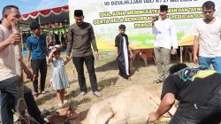 Polres Kampar Sembelih 9 Ekor Sapi Qurban, Hasilnya Dibagikan Kepada Masyarakat, Warga Asrama dan Personel