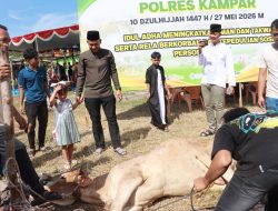 Polres Kampar Sembelih 9 Ekor Sapi Qurban, Hasilnya Dibagikan Kepada Masyarakat, Warga Asrama dan Personel