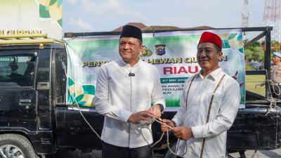 Polda Riau Sembelih 195 Hewan Kurban, Daging Disalurkan hingga Pelosok Desa