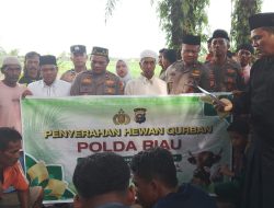 Kapolda Riau dan Kapolres Rohil Salurkan Hewan Qurban untuk Masyarakat Panipahan dan Rantau Kopar