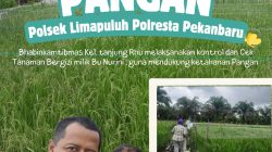 Aktif Dukung Ketahanan Pangan, Polsek Limapuluh Monitoring Tanaman Bergizi Warga di Tanjung Rhu
