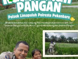 Aktif Dukung Ketahanan Pangan, Polsek Limapuluh Monitoring Tanaman Bergizi Warga di Tanjung Rhu