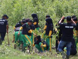 Dukung Green Policing Kapolda Riau, Polres Rohil Gelar Preparasi Mangrove di Sinaboi