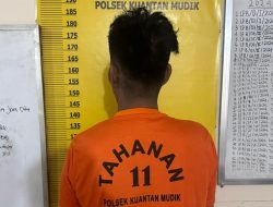 Amankan Pelaku dan Barang Bukti, Polsek Kuantan Mudik Gerebek Rumah Pengedar Sabu di Pulau Binjai