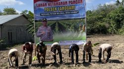 Tanam Jagung 0,5 H di Pangkalan Gondai, Polsek Langgam Dukung Ketahanan Pangan Nasional