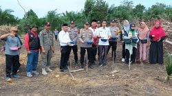 Dukung Ketahanan Pangan, Polsek Bunut Bersama Kelompok Tani Tanam Jagung Hibrida NK 7328 di Merbau