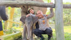 Kapolda Riau Namai Anak Gajah Tesso Nilo Nona Seroja, Simbol Harapan Baru Konservasi