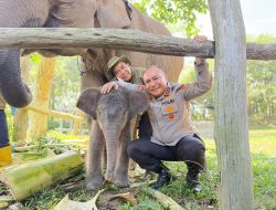 Kapolda Riau Namai Anak Gajah Tesso Nilo Nona Seroja, Simbol Harapan Baru Konservasi