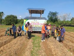 Perkuat Ketahanan Pangan, Kapolres Kuansing Dukung Penanaman Jagung Pipil di Seberang Taluk Hilir 