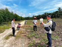 3 H Jagung Pipil Kelompok Tani Maju Bersama Ukui Tumbuh, Kawal Ketahanan Pangan