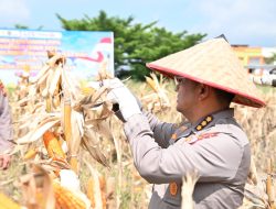 Polda Riau Dukung Swasembada Jagung, Karo SDM: Polri Hadir Sebagai Penggerak Kolaborasi Ketahanan Pangan