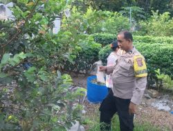 Dukung Ketahanan Pangan Nasional, Polresta Pekanbaru Melalui Bhabinkamtibmas Polsek Bukit Raya Edukasi Warga Kelola Pekarangan Produktif