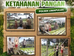 Polresta Pekanbaru Perkuat Ketahanan Pangan, Bhabinkamtibmas Dampingi Petani Selada dan Pakcoy di Tanjung Rhu