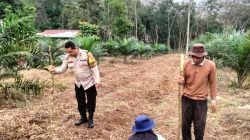 Polres Kuansing Dukung Swasembada Pangan, Penanaman Benih Jagung Pipil Digelar di Desa Munsalo
