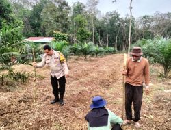 Polres Kuansing Dukung Swasembada Pangan, Penanaman Benih Jagung Pipil Digelar di Desa Munsalo