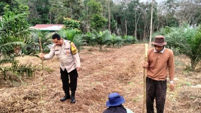 Polres Kuansing Dukung Swasembada Pangan, Penanaman Benih Jagung Pipil Digelar di Desa Munsalo