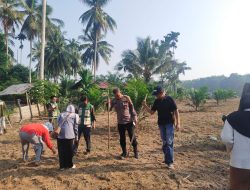 Perkuat Ketahanan Pangan dan Dukung Asta Cita Presiden, Polres Kuansing Bersama Masyarakat Tanam Jagung Pipil di Desa Tanjung