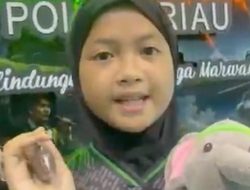 Anak Gajah Nona Seroja Tebar 15 Ribu Bibit Pohon dalam Event RBR 2026